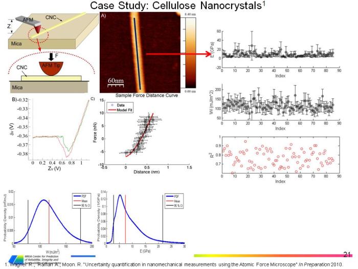 Case study cellulose answer key