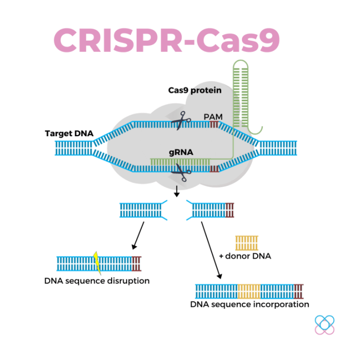 Out of the blue crispr lab answers