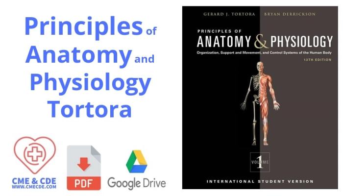 Hole's anatomy and physiology 16th edition