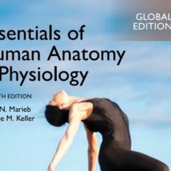 Essentials of anatomy and physiology 7th edition